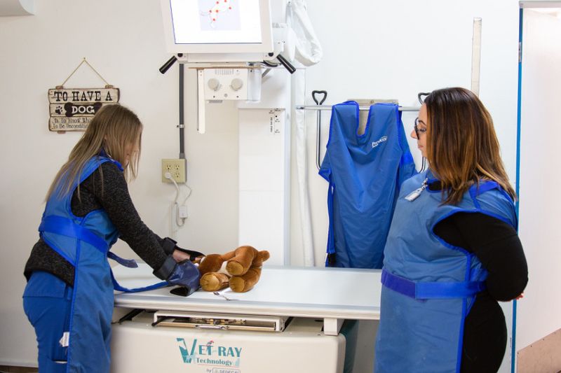 Highline Vet Hospital -pet radiology