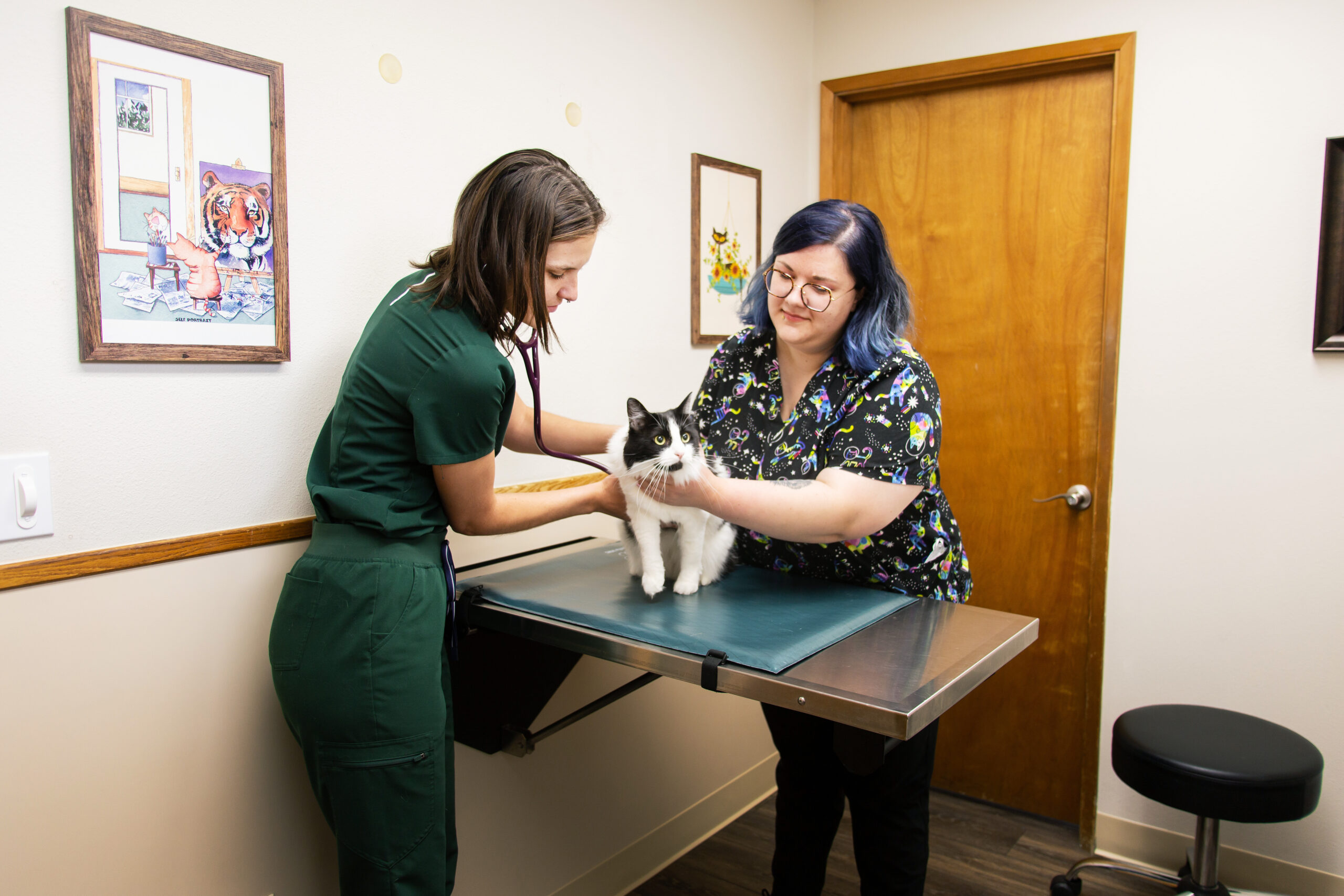 Highline Vet Hospital - pet ultrasounds